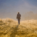 TRIP Isn’t Just Therapy, It’s a Path Back to Yourself